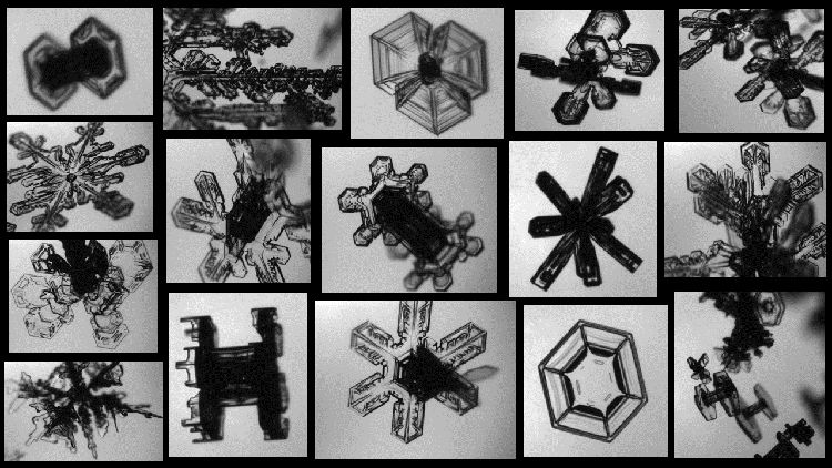 science photo